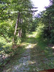 555 Switzer Mountain Road, Fincastle, Virginia 24090, USA