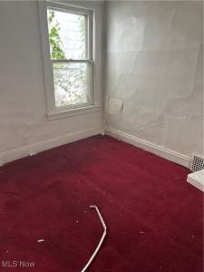 737 E 165th Street, Cleveland, Ohio 44110, USA