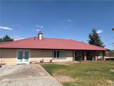 10675 Paramount Rd, Phelan, Califórnia 92371, Estados Unidos