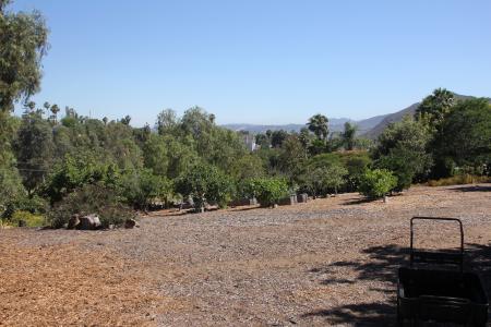 520 Woodland Hills Drive, Escondido, California 92029, Stati Uniti