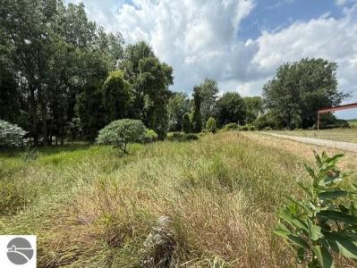 595 Heather Lane, Alma, Michigan 48801