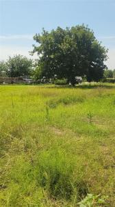 131 4687, Boyd, Texas 76023, Estados Unidos