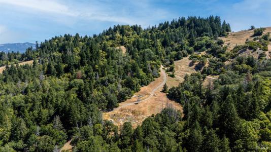 41092 Hwy 101, Laytonville, Kaliforniya 95454, Amerika Birleşik Devletleri