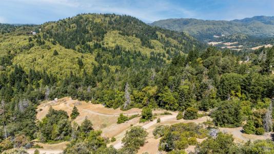 41092 Hwy 101, Laytonville, Kaliforniya 95454, Amerika Birleşik Devletleri