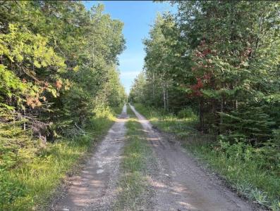 West Airport Highway, Rogers City, Michigan 49779, Stati Uniti