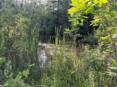 West Airport Highway, Rogers City, Michigan 49779, Stati Uniti