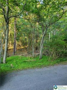 5120 Pine Tr Lane #808,809, Tobyhanna Twp, Pennsylvania 18346