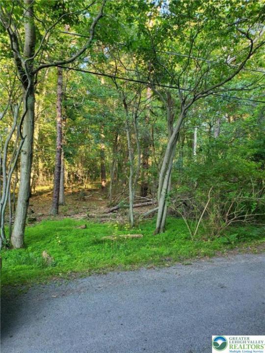 5120 Pine Tr Lane #808,809, Tobyhanna Twp, Pennsylvanie 18346, États-Unis