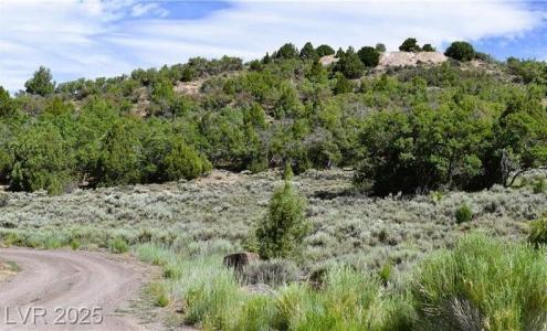 Parcel 1 Fox Trail Oak Hill Estates, Alton, يوتا 84710, الولايات المتحدة