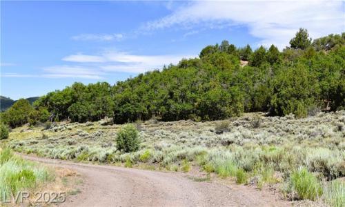 Parcel 1 Fox Trail Oak Hill Estates, Alton, يوتا 84710, الولايات المتحدة