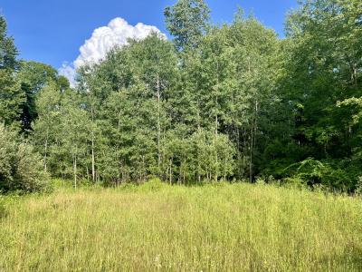 1143 38th Street, Allegan, Michigan 49010, Estados Unidos