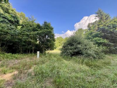 1143 38th Street, Allegan, Michigan 49010, USA