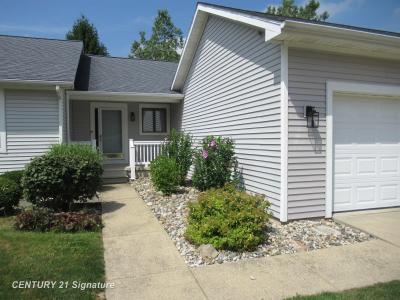 7228 Northfield, Flushing, Michigan 48433