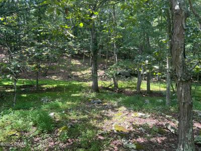 Lot 270 Saunders Court, Bushkill, Pensilvania 18324, Estados Unidos