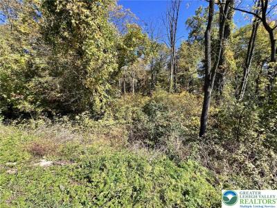 Pa Route 33, Bushkill Twp, Пенсильвания 18091, Соединенные Штаты