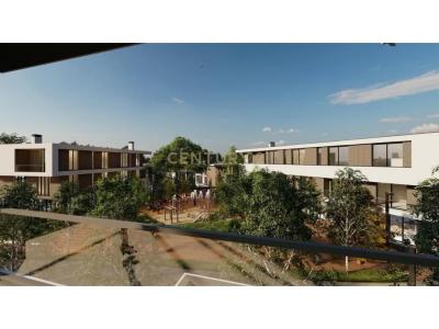 Mjull - Bathore, Tirana, Albania