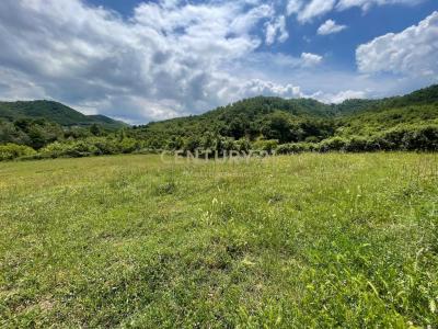 Periferia Tiranë, Tirana, Albania