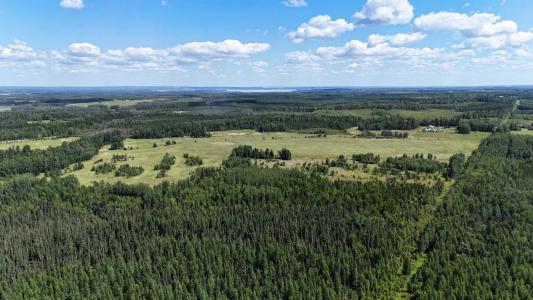 NE-16-53-11-W5 RANGE ROAD 113, Rural Yellowhead County, Alberta T0E 2M0, Canada