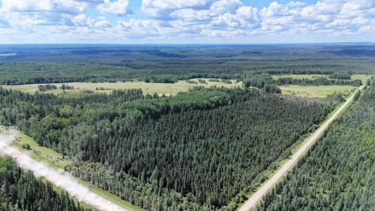 NE-16-53-11-W5 RANGE ROAD 113, Rural Yellowhead County, Alberta T0E 2M0, Canada