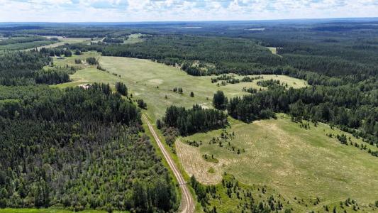 NE-16-53-11-W5 RANGE ROAD 113, Rural Yellowhead County, Alberta T0E 2M0, Canada