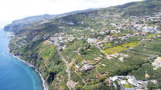 Calheta, Madeira 9370-046, Portugal