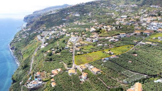 Calheta, Madeira 9370-046, Portugal