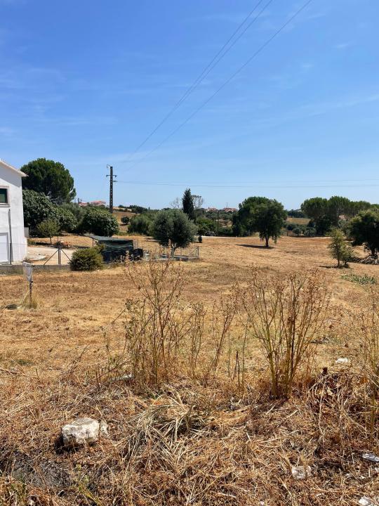 Torres Novas, Santarem 2350-001, Portugal