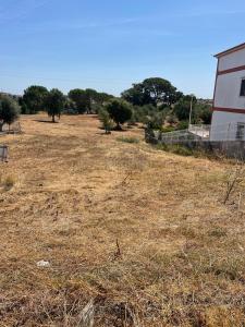 Torres Novas, Santarem 2350-001, Portugal