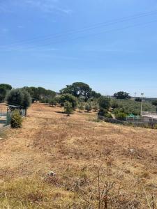 Torres Novas, Santarem 2350-001, Portugal