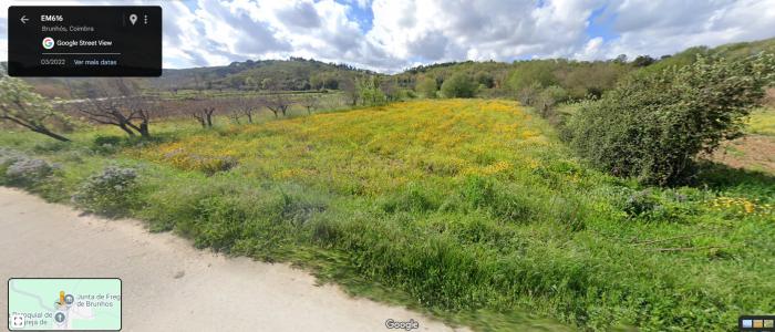 Soure, קוימברה 3130-010 Soure, פורטוגל 