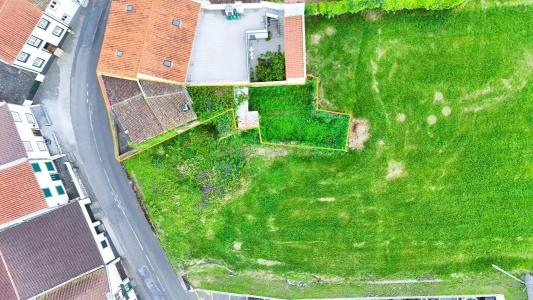 Ribeira Grande, São Miguel Island 9600-414, Portugal