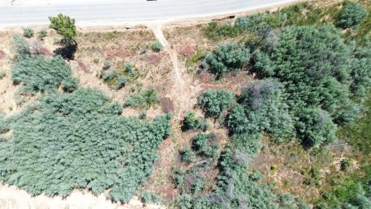 瓜達區, 瓜達區 6300-115, 葡萄牙