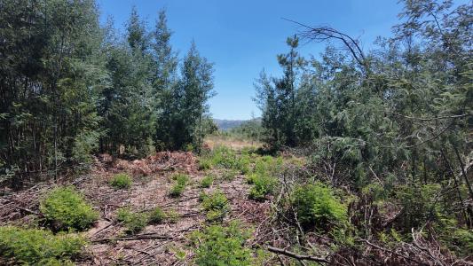 Guarda, Guarda 6300-115, Portugal
