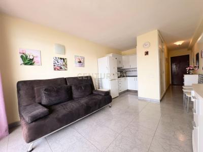 سانتا كروث دي تينيريفه, Canarias 38650, إسبانيا