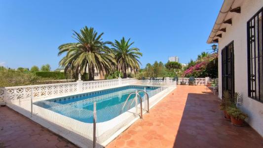 Alacant/Alicante, Comunitat Valenciana 03700, إسبانيا