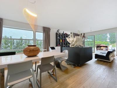 Velmerlaan 41, Sint-truiden (velm), 3800, Belgique