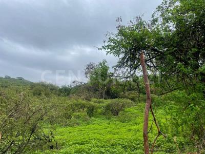 Sobre Brecha, Fracción B Predio Rustico,  La Cantera. S/N,, Tlajomulco De Zúñiga, Jalisco 45670, Mexico