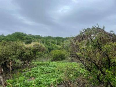 Sobre Brecha, Fracción B Predio Rustico, La Cantera. S/N,, Tlajomulco De Zúñiga, Jalisco 45670, México