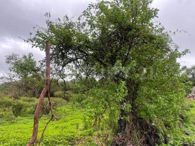 Sobre Brecha, Fracción B Predio Rustico,  La Cantera. S/N,, Tlajomulco De Zúñiga, Jalisco 45670, Mexico