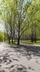 RUTA 24 Y AV CORRIENTES , General Rodríguez, GBA Oeste 00001, Argentina