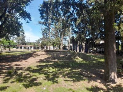 Ricardo Rojas 4418, Moreno, GBA Oeste 1744, Argentyna