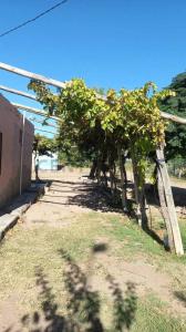 anzorena y calle 8 1, General San Martín, Mendoza 5570, Argentina