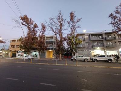 Avenida Libertador Oeste 4652, Rivadavia, San Juan 5400, Argentina