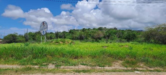 Avenida Terranova con Calle San Rafael TERRENO EN LA TERRANOVA, Porlamar, Nueva Esparta 6301, فنزويلا