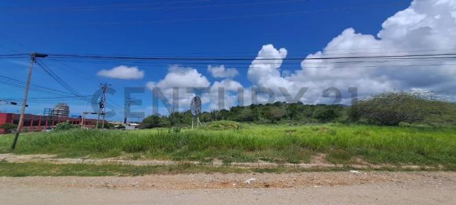 Avenida Terranova con Calle San Rafael TERRENO EN LA TERRANOVA, Porlamar, Nueva Esparta 6301, فنزويلا
