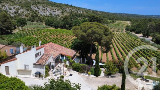 Puyloubier, Provence-Alpes-Côte d'Azur 13114, France