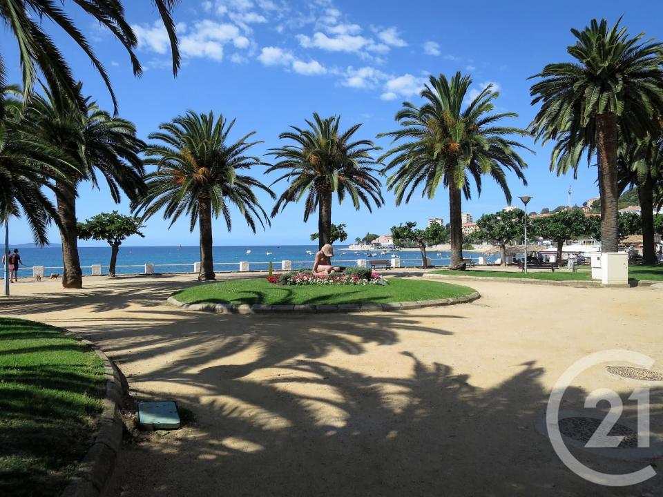 Ajaccio, Corse 20000, צרפת