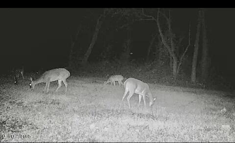 3815 Highway 301 S, Hernando, Mississippi 38632, Estados Unidos