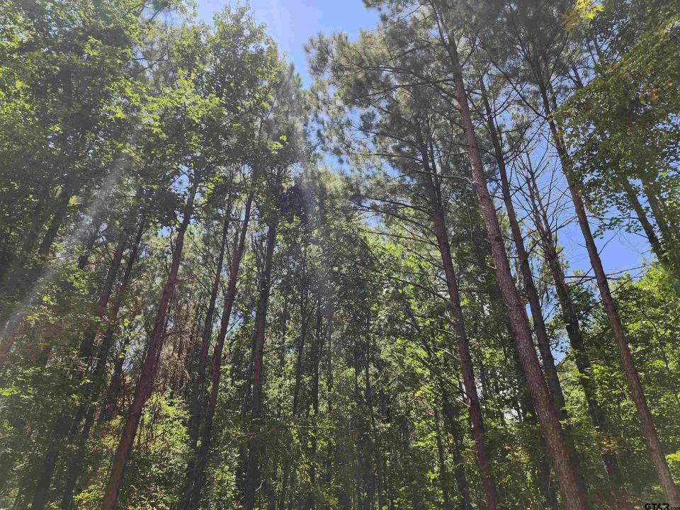 TBD CR 4114 #2 10.00 Acres, Hughes Springs, Техас 75656, Соединенные Штаты