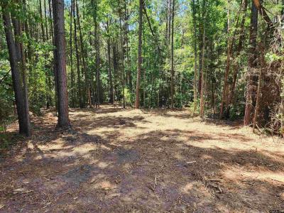 TBD CR 4114 #2 10.00 Acres, Hughes Springs, Техас 75656, Соединенные Штаты